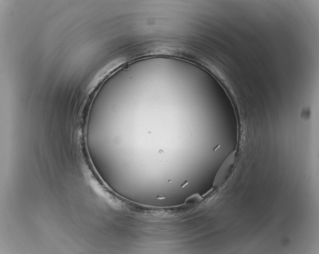 X0000113091042200909111022