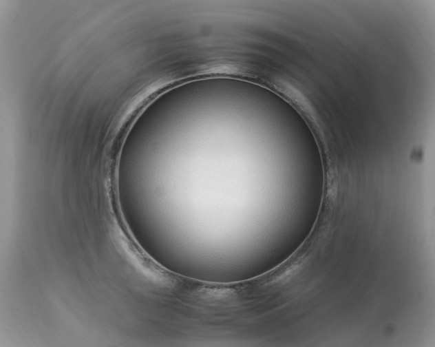 X0000113091043200909111022