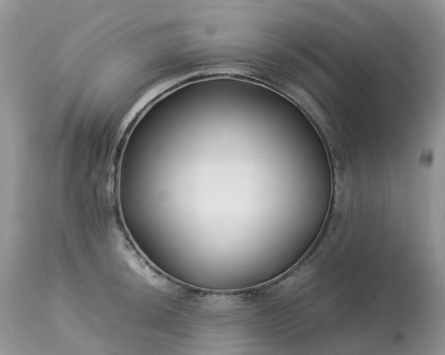 X0000113091044200909111022