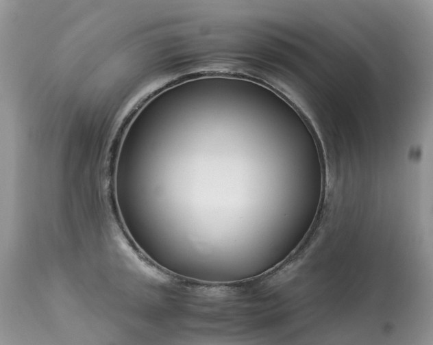 X0000113091045200909111022