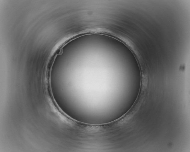 X0000113091046200909111022