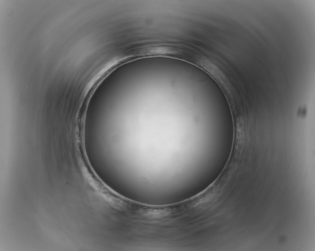 X0000113091047200909111022