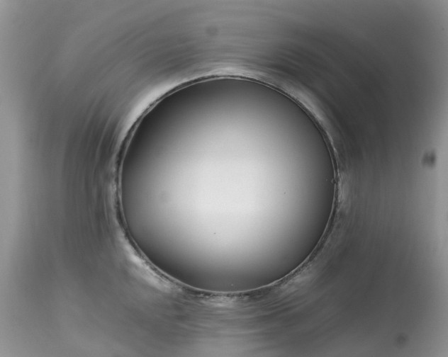 X0000113091048200909111022
