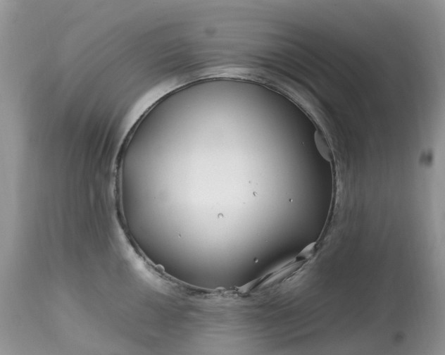 X0000113091050200909111022
