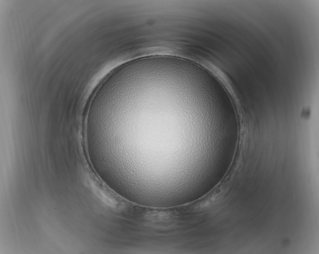 X0000113091051200909111022