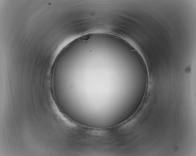 X0000113091053200909111022