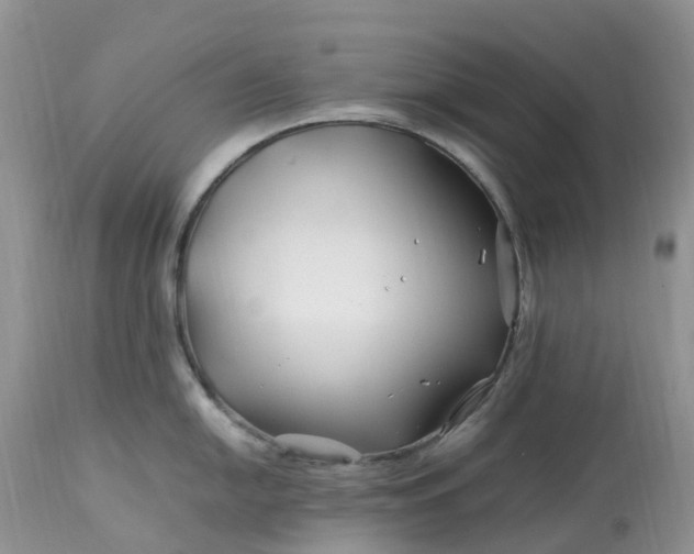 X0000113091054200909111022