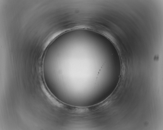 X0000113091055200909111022