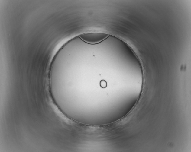 X0000113091056200909111022