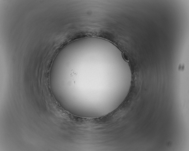 X0000113091057200909111022