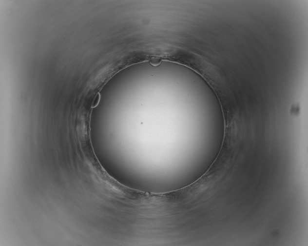 X0000113091058200909111022