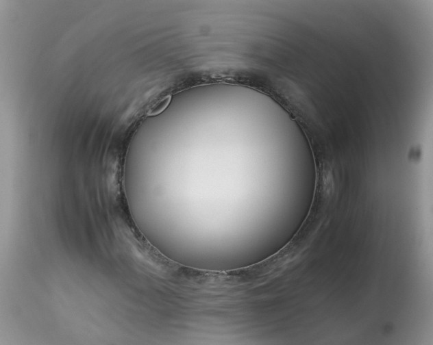 X0000113091060200909111022