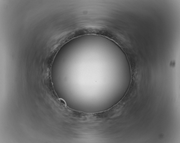 X0000113091061200909111022