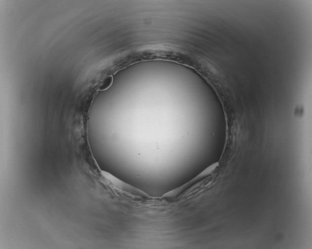 X0000113091062200909111021