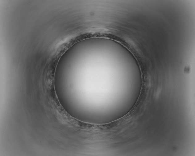X0000113091063200909111021