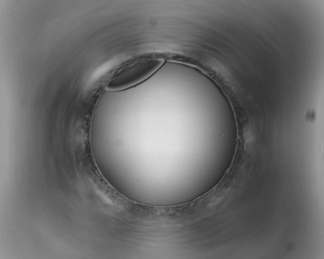 X0000113091064200909111021