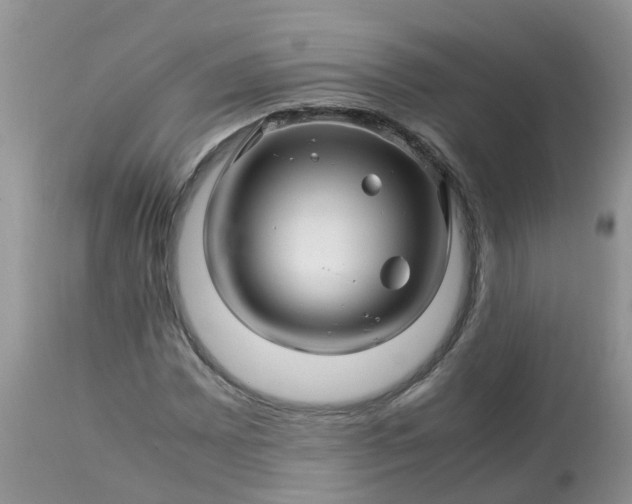 X0000113091065200909111021