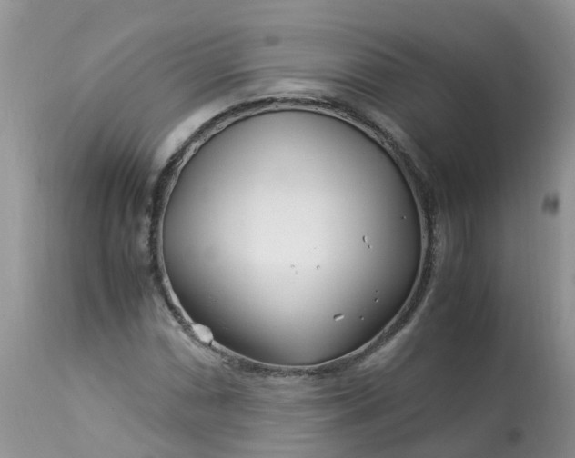 X0000113091066200909111021