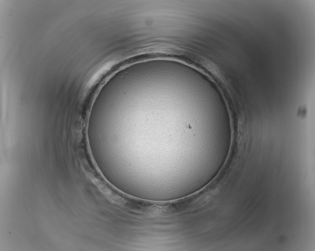 X0000113091067200909111021