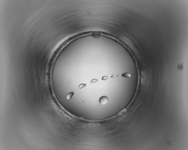 X0000113091068200909111021
