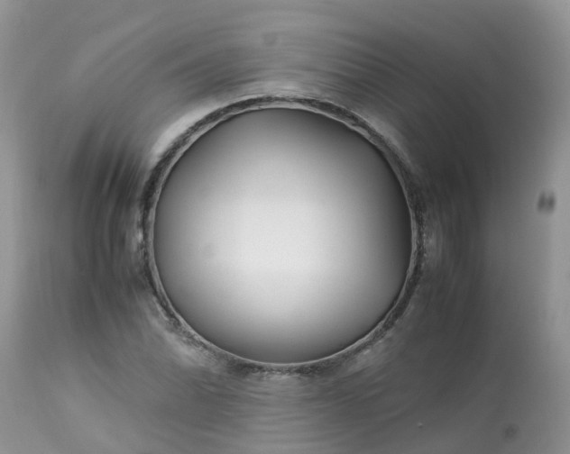 X0000113091070200909111021