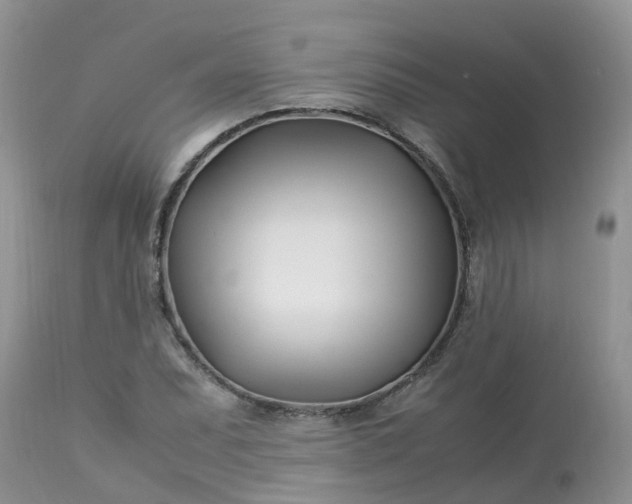 X0000113091071200909111021