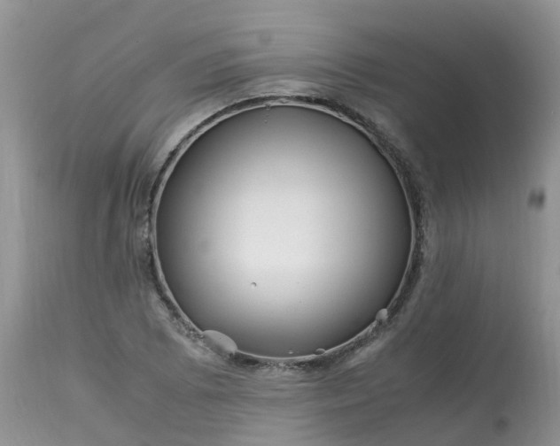 X0000113091073200909111021