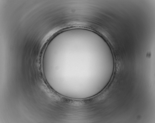 X0000113091074200909111021