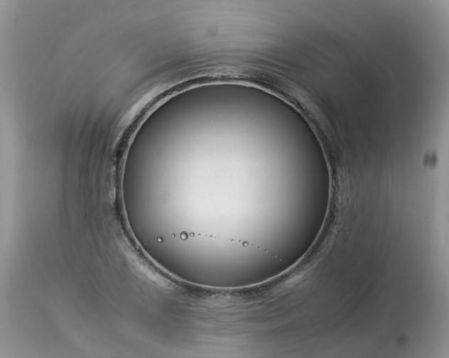 X0000113091075200909111021