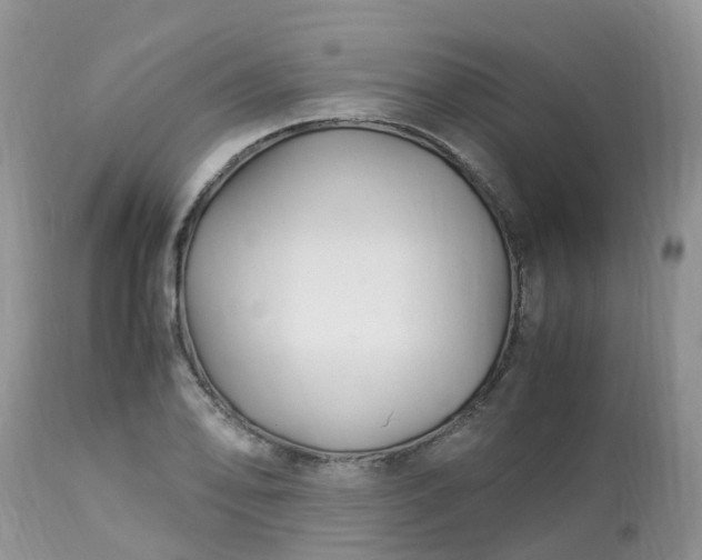 X0000113091078200909111021