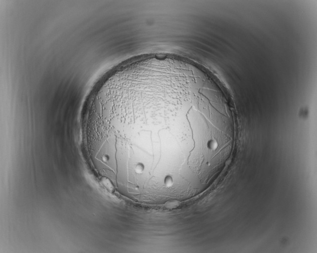 X0000113091080200909111021