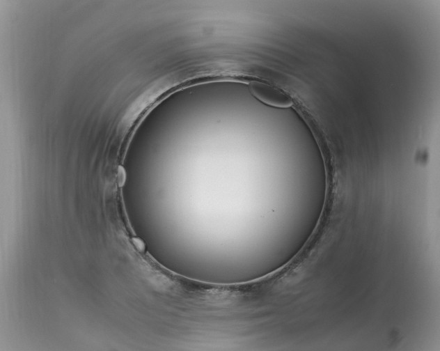 X0000113091081200909111021