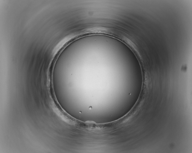 X0000113091082200909111021