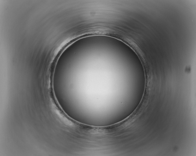 X0000113091083200909111021