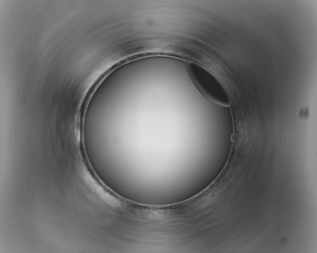 X0000113091084200909111021
