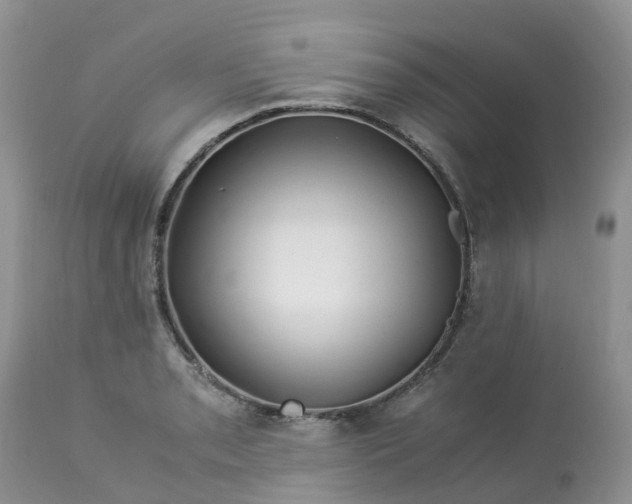 X0000113091085200909111021