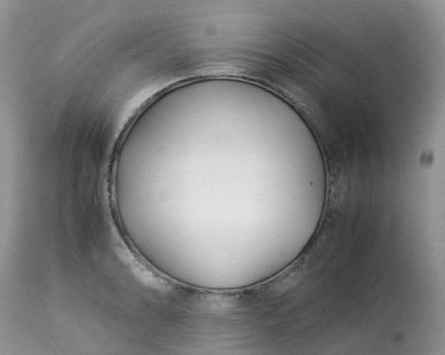 X0000113091086200909111021