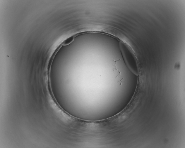 X0000113091088200909111021
