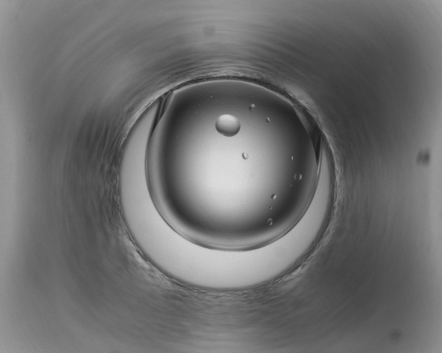 X0000113091089200909111021