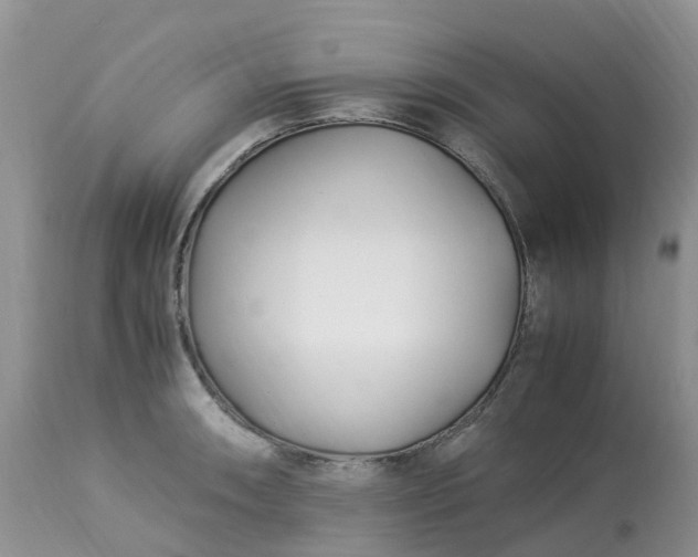 X0000113091090200909111021
