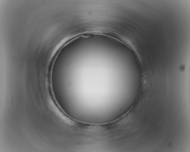 X0000113091091200909111021