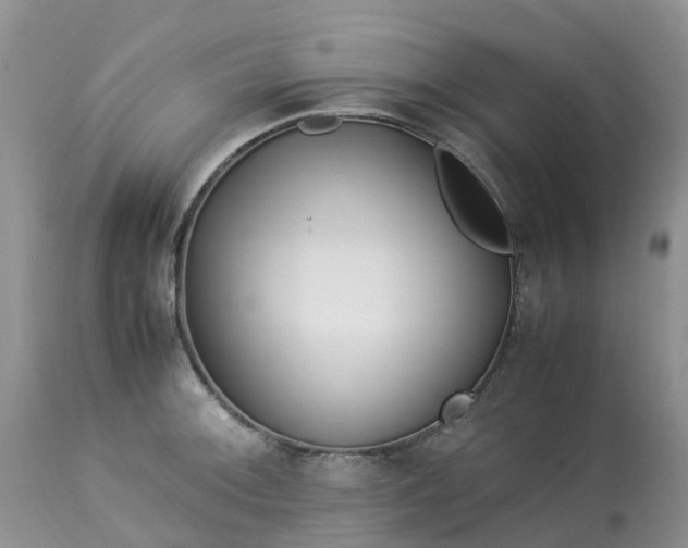 X0000113091092200909111021