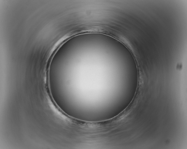 X0000113091095200909111021