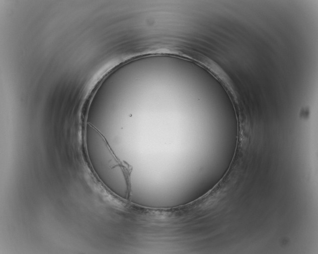 X0000113091096200909111021