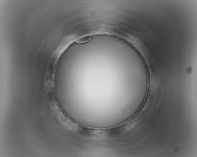 X0000113091097200909111021