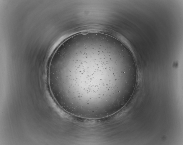 X0000113091099200909111021