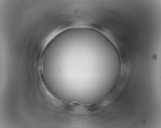 X0000113091101200909111021