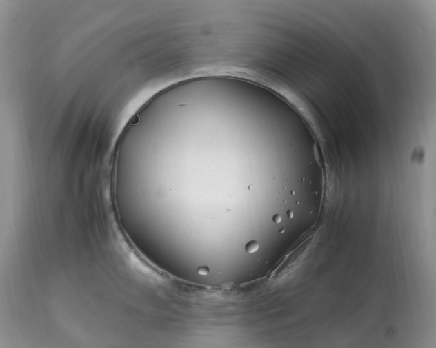 X0000113091102200909111021
