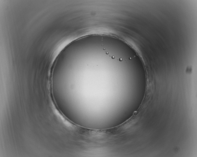 X0000113091103200909111021