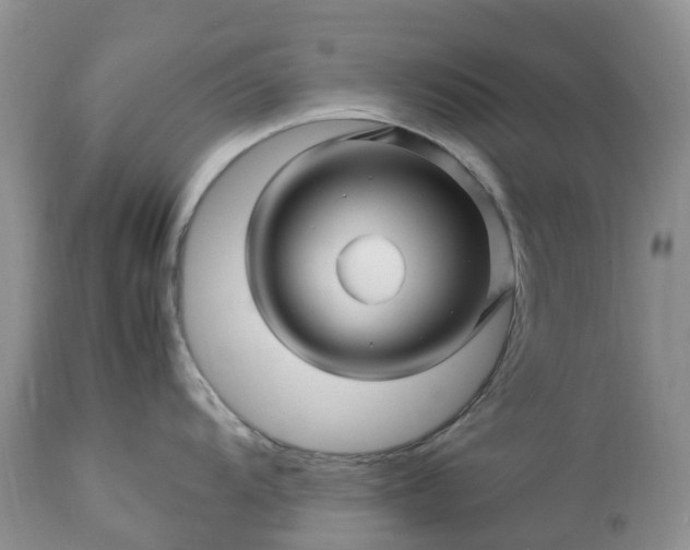 X0000113091104200909111021